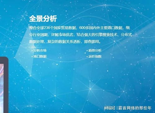 2025年海關數據公司選擇指南 實力、口碑與避坑全解析